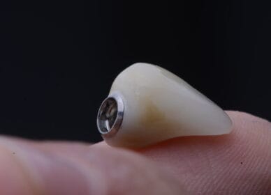 DSC_0867 (1) DSC_0867 (1)