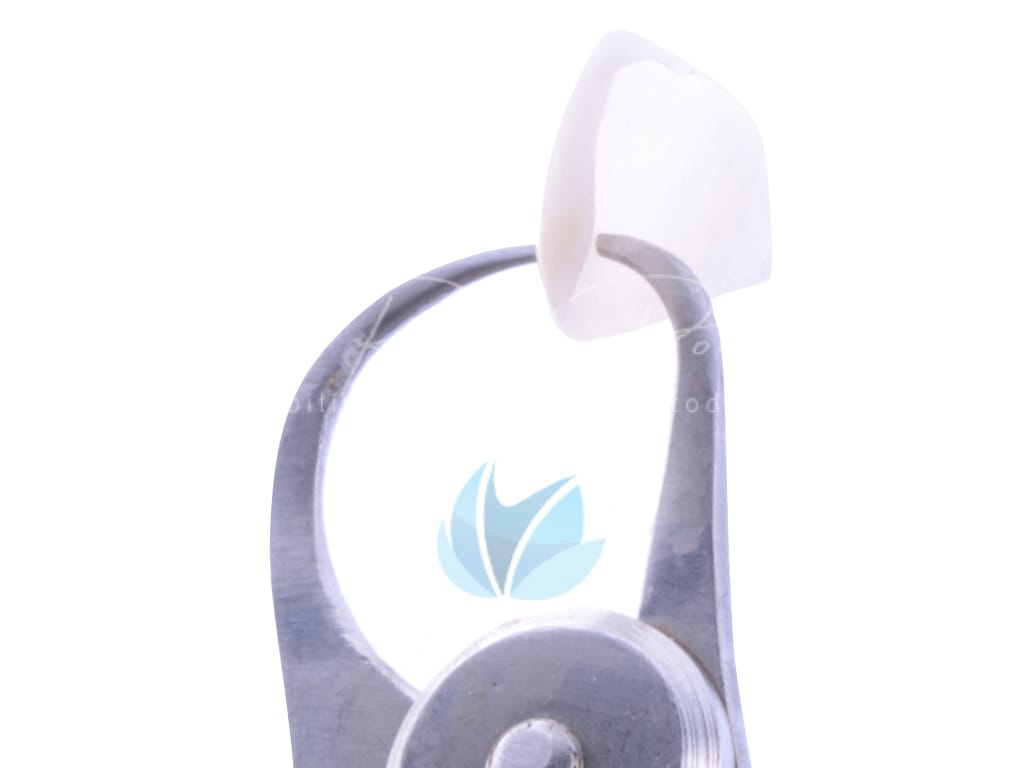 Moldagem em PPF completa com Digital .011